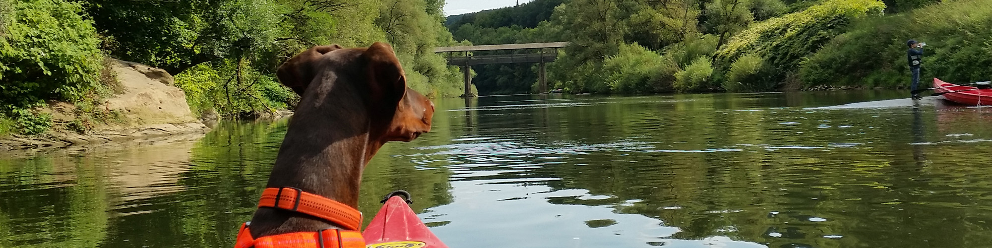 Hund kann, was Halter im Kopf hat.